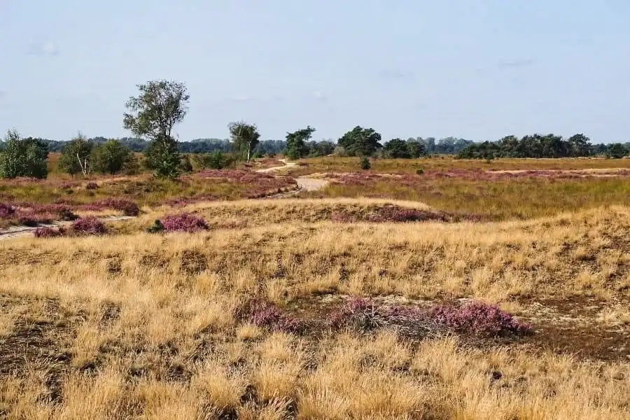 Radlandschaft in Nordbrabant
