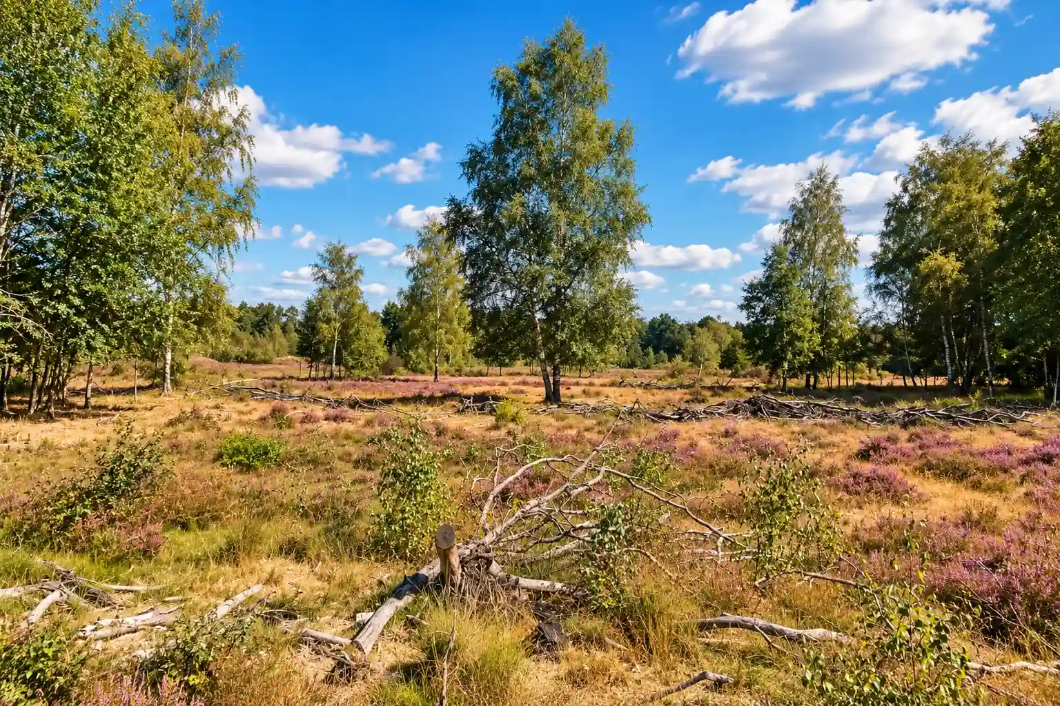 Fietsroute door de Maashorst en de Verborgen Raamvallei
