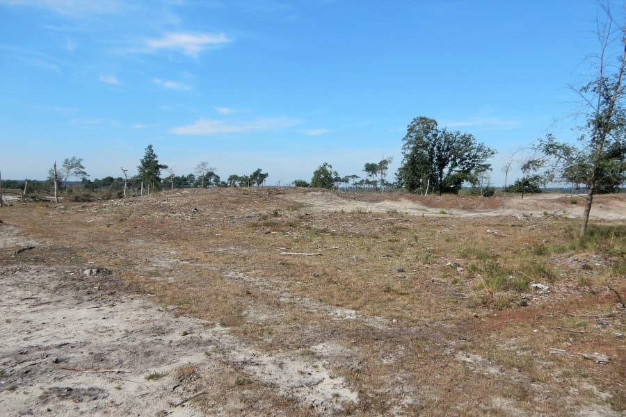 Radtour Brabantse Wal und Grenzpark Kalmthoutse Heide