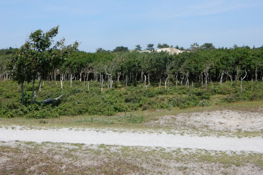 Radtour Kop van Noord Holland