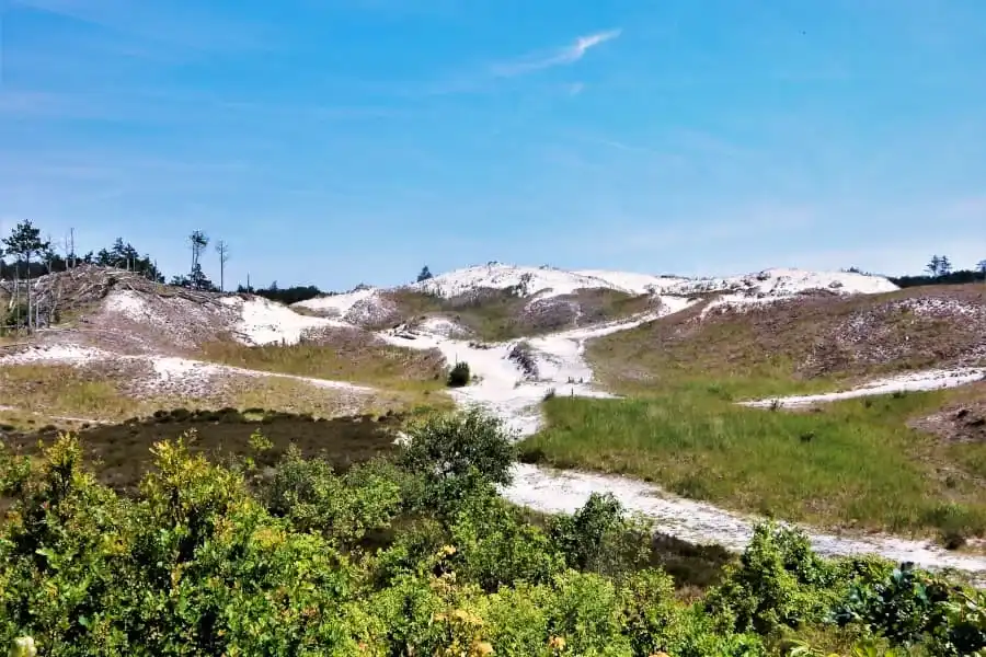 Radlandschaft in Nordholland