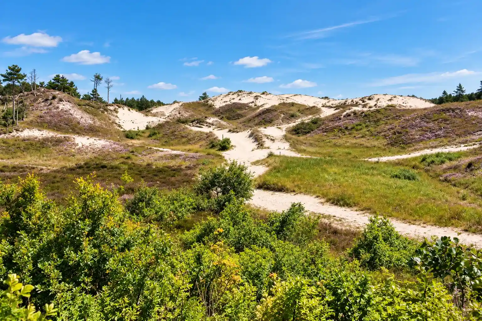 Cycling route through Noordhollands Duinreservaat and Noord Kennemerland