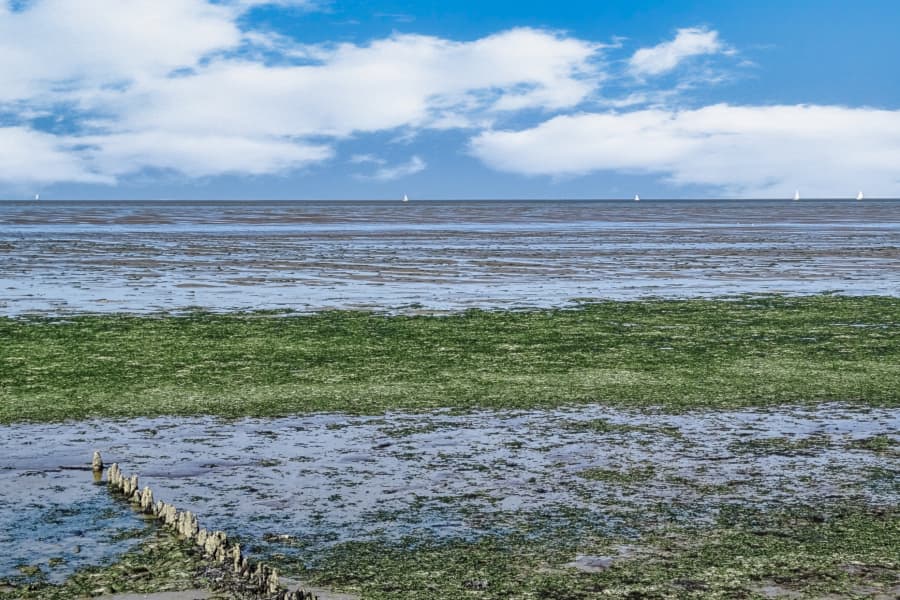 Radtour Hollands Kroon und Wieringen