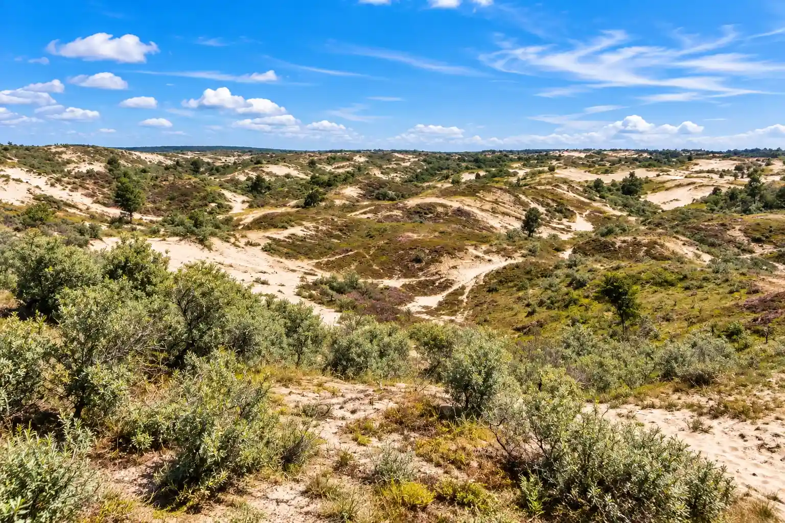 Cycling route through National Park Zuid-Kennemerland and Amsterdamse Waterleidingduinen