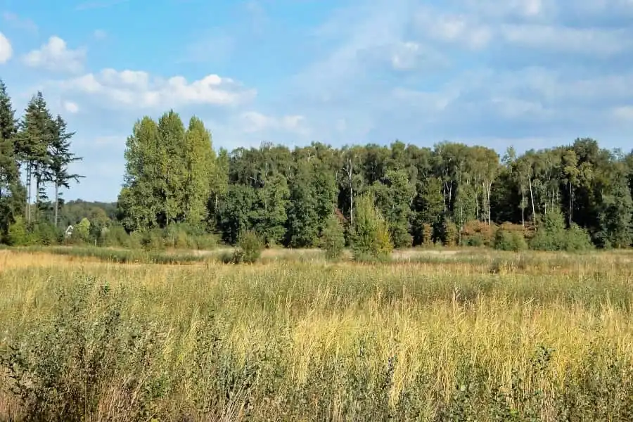 Cycling route through Southwest Salland and IJssel Valley