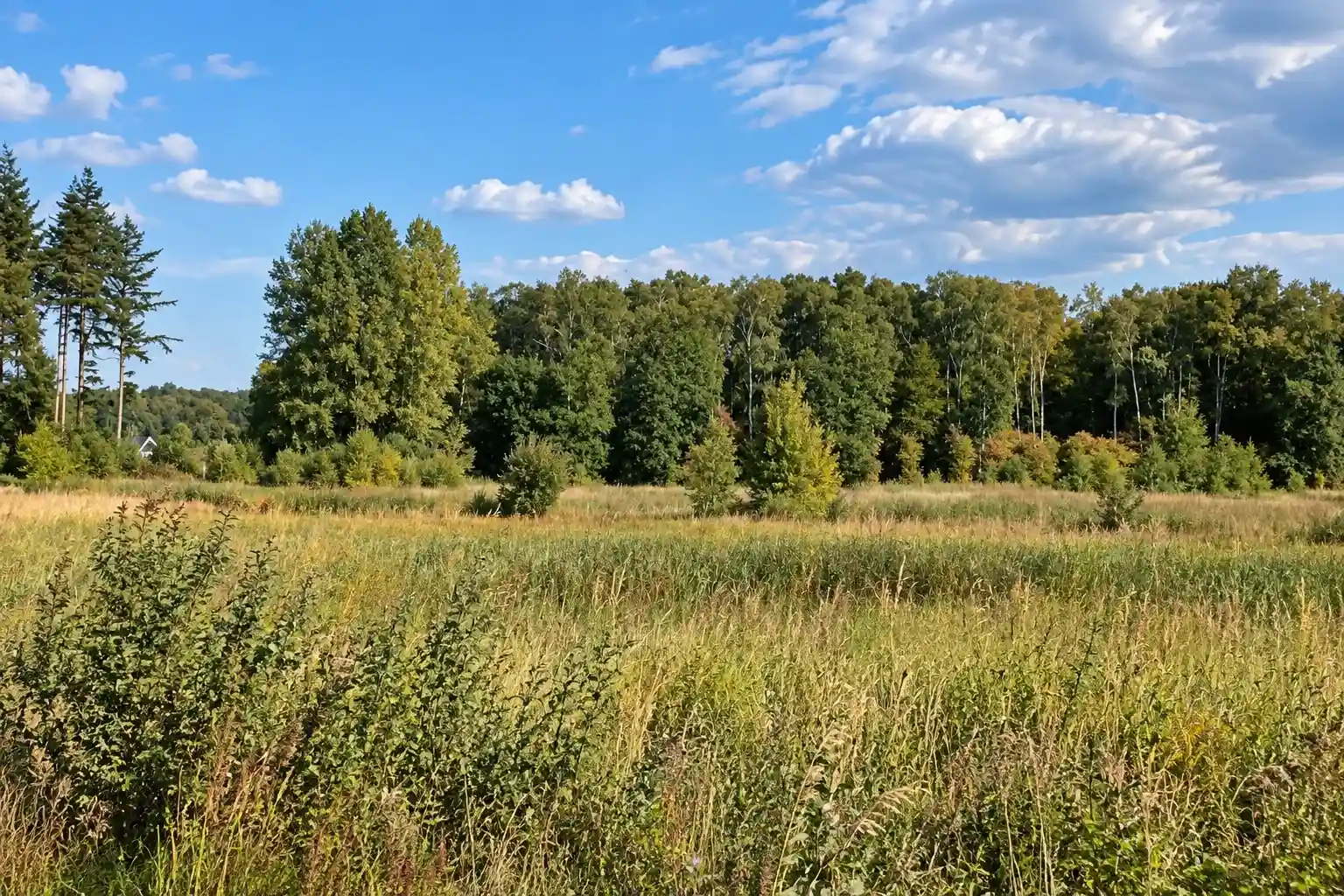 Radtour durch das südwestliche Salland und das IJsseltal