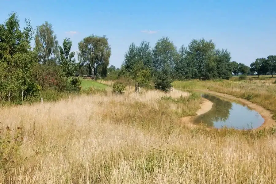 Cycling route through the Twente Regge Valley and Dutch Black Forest