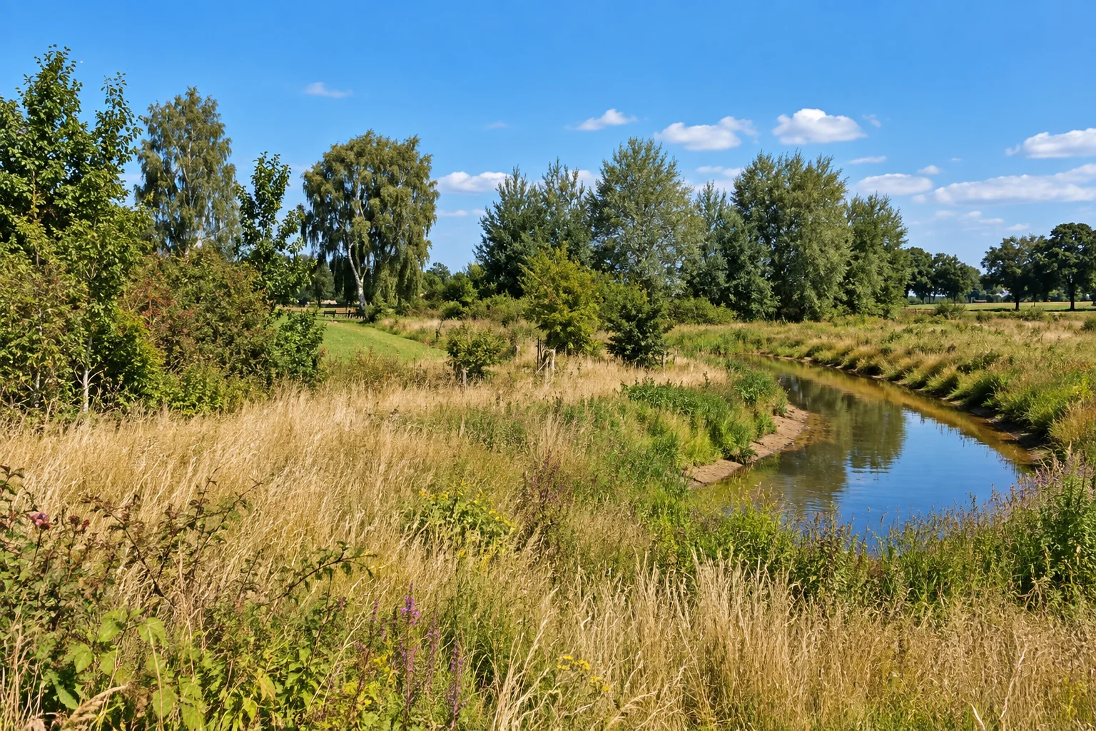 Radtour durch das Twenter Reggetal und den Holländischen Schwarzwald