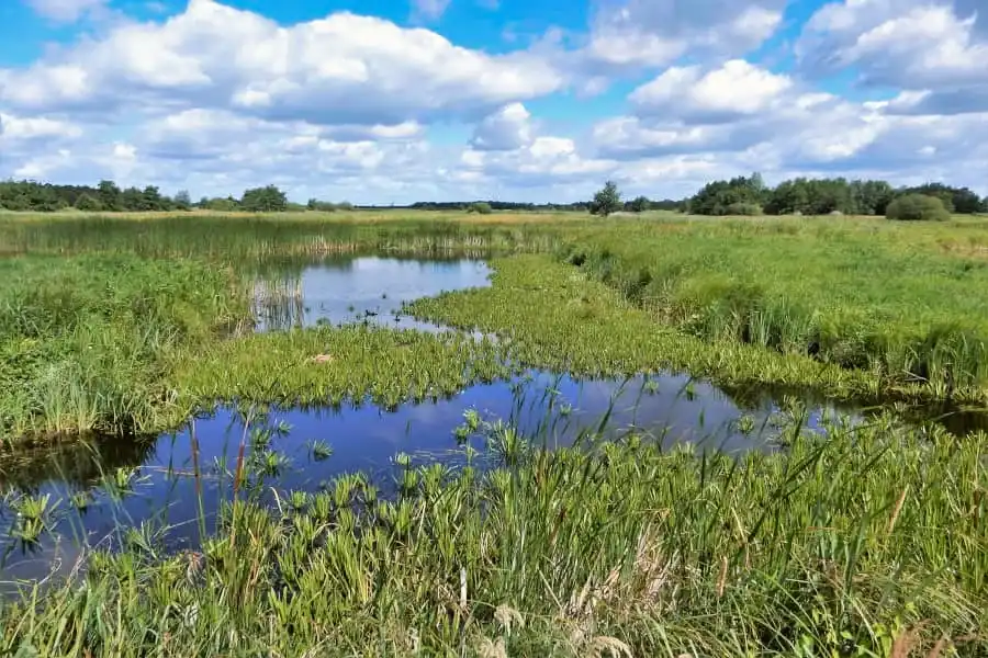 Cycling route through National Park Weerribben-Wieden and Giethoorn