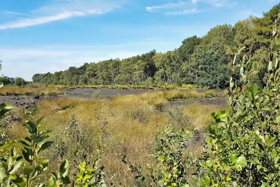 Cycling route through South Twente and Berkelland