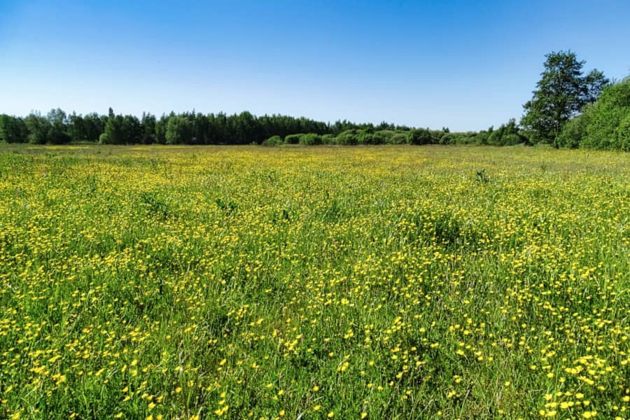 Radtour Nordost-Twente und Springendal