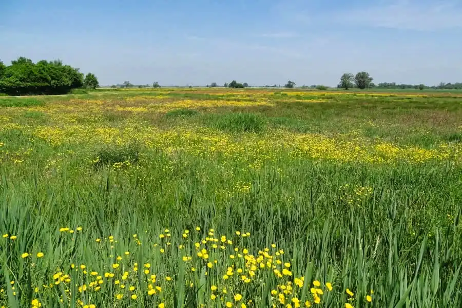 Cycling route through Kop van Overijssel and De Wieden
