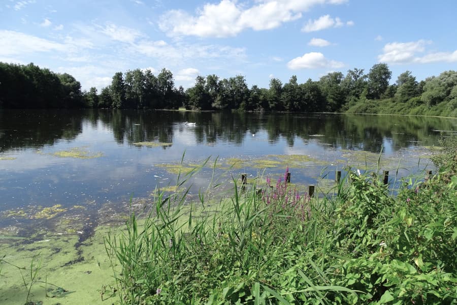 Radtour Salland zwischen Vecht und IJssel