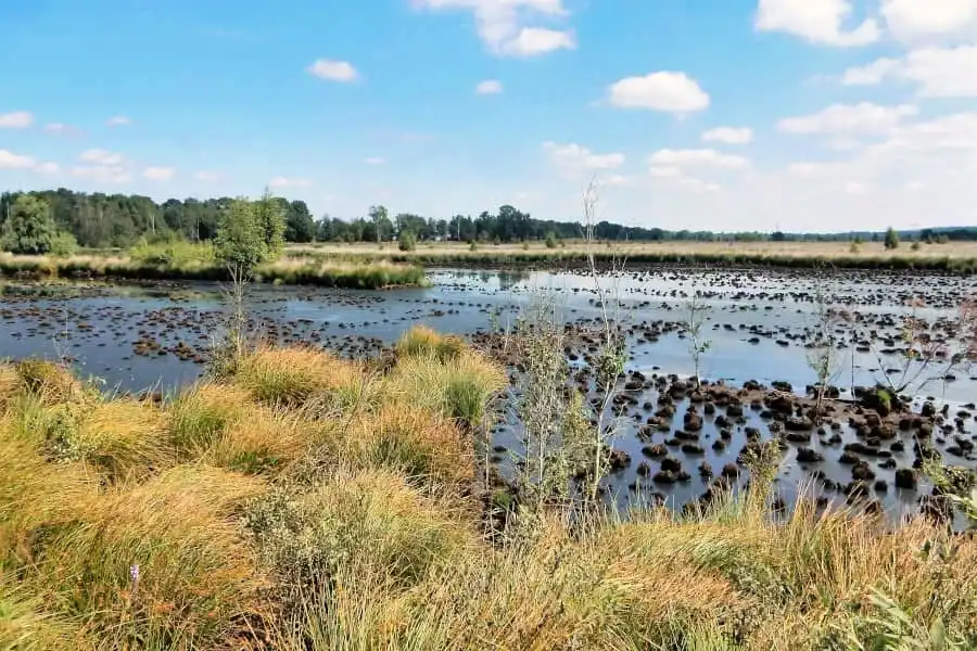 Cycling route through National Park Sallandse Heuvelrug and Wierdense Veld