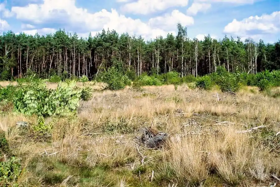 Cycling route through Sallandse Heuvelrug and Sallandse Landweer