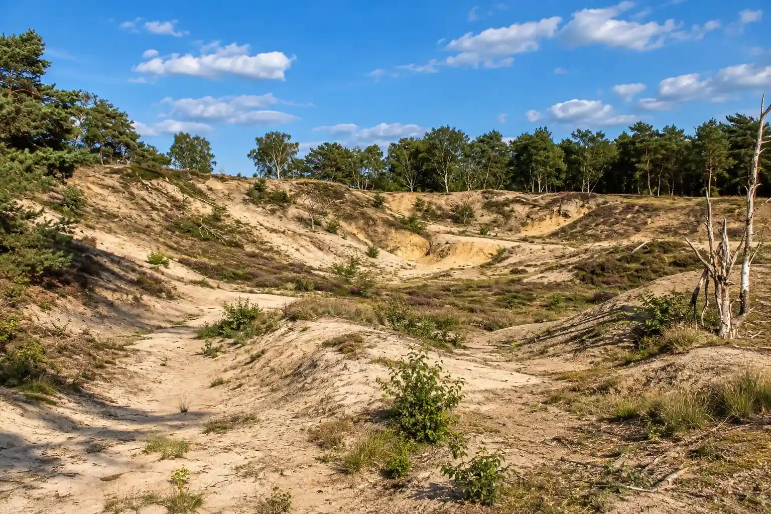 Radtour durch den Lemelerberg und das Reggetal