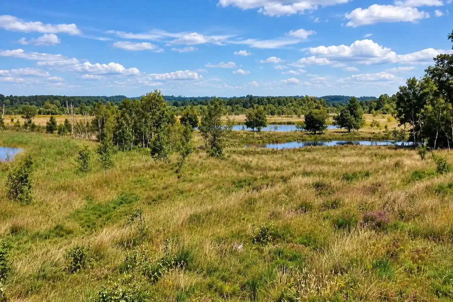 Radtour durch die Schatzkammer von Twente und die Grafschaft Bentheim