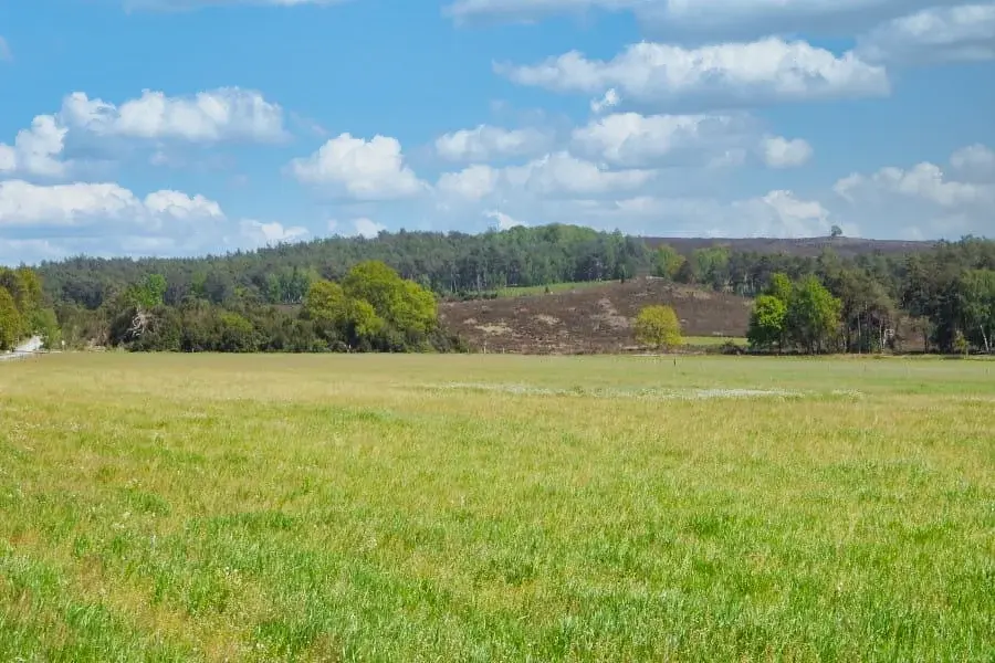 Cycling route through Vecht Valley and Archemerberg