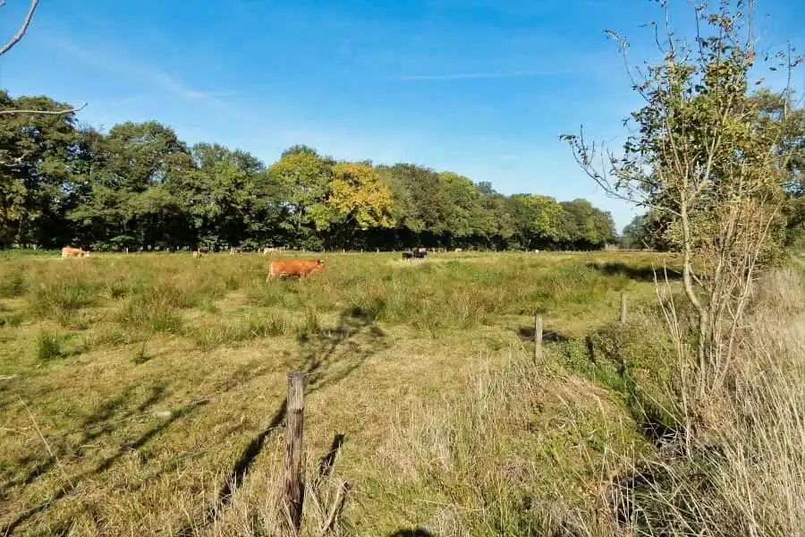 Cycling route through Salland and Luttenberg