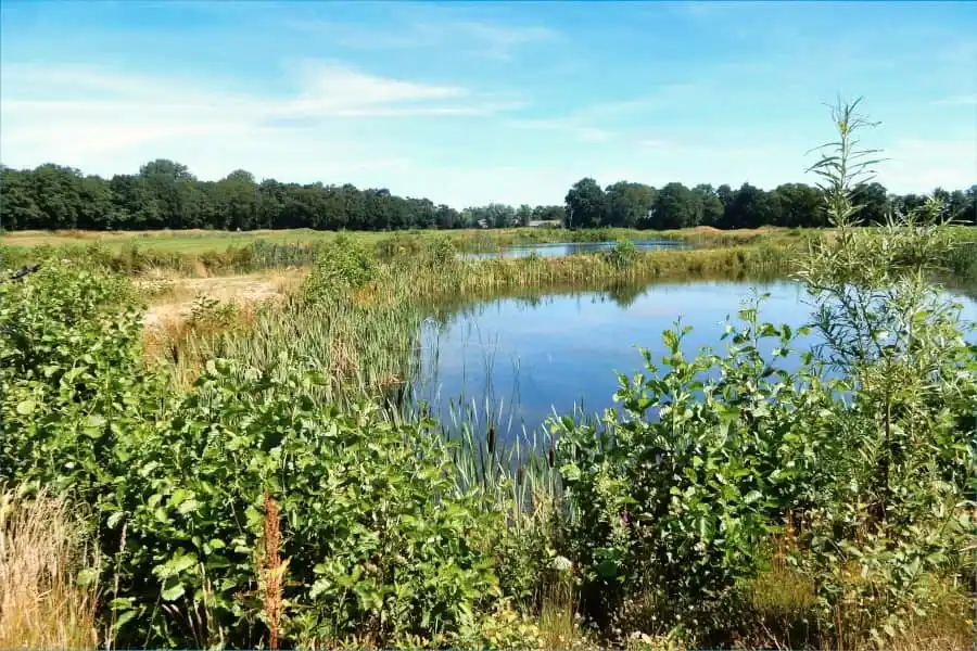 Radlandschaft in Overijssel