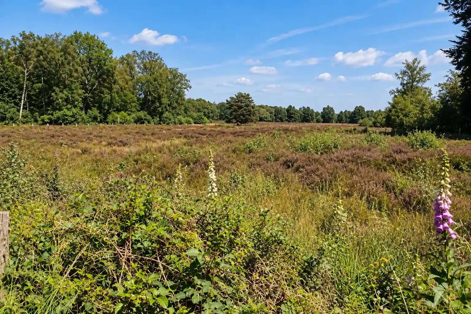 Radtour durch Nordost-Twente und Springendal
