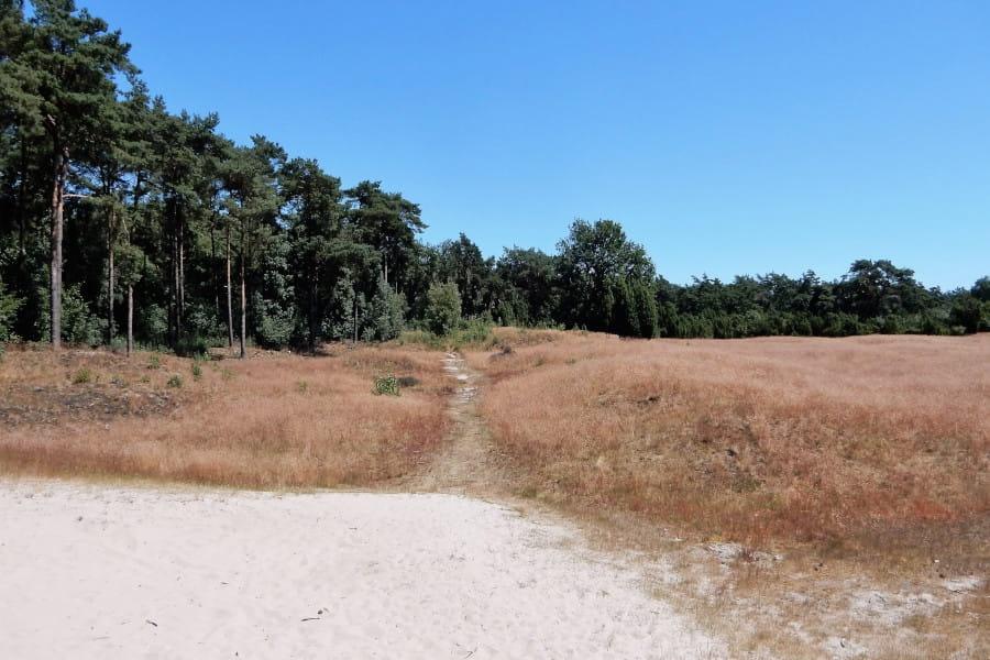 Radtour Twenterand und Vechtdal