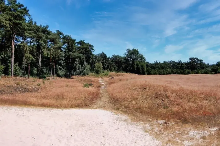Cycling route through Twenterand and Vecht Valley