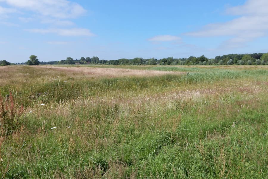 Cycle route Vechtstreek and Oostelijke Vechtplassen