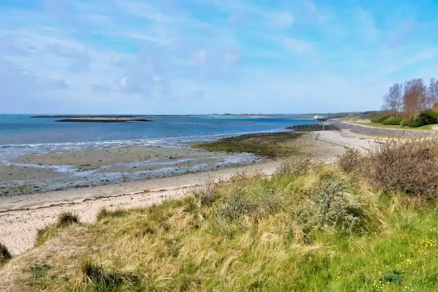 Radlandschaft in Zeeland