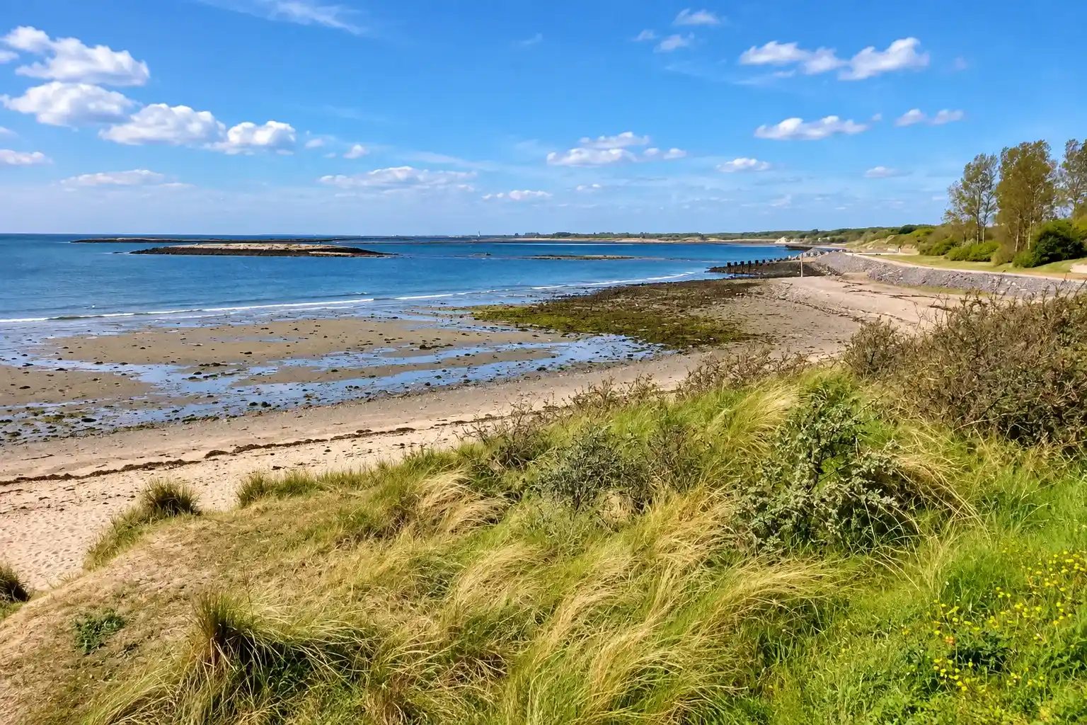Cycling landscape in Zeeland