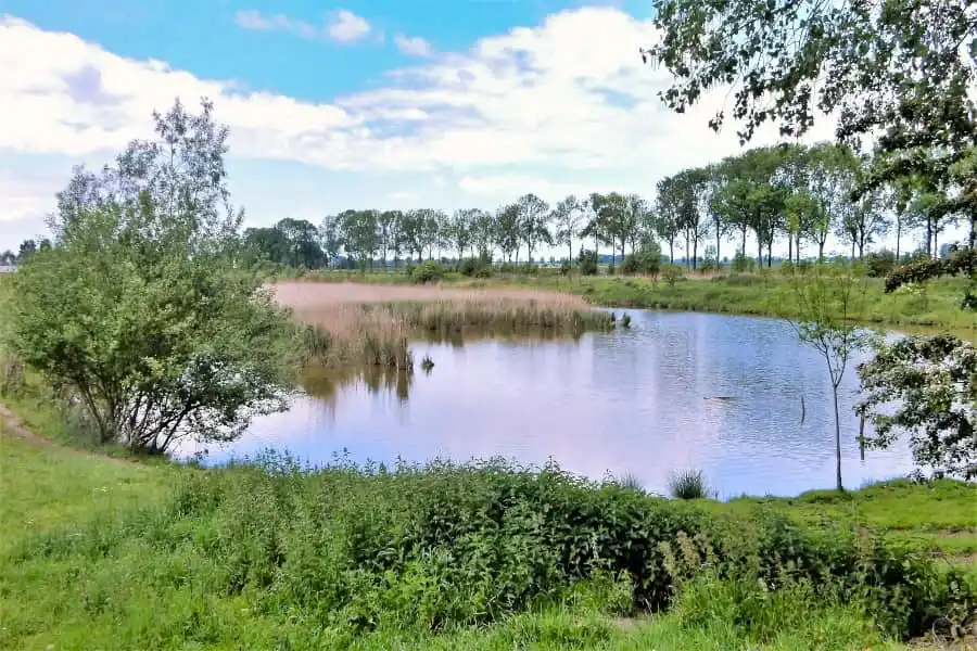 Cycling route through Western Scheldt, Braakman and Asseneedse Kreken