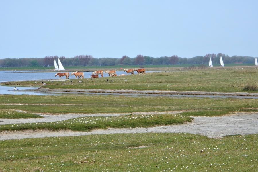 Cycle route Around the Veerse Meer