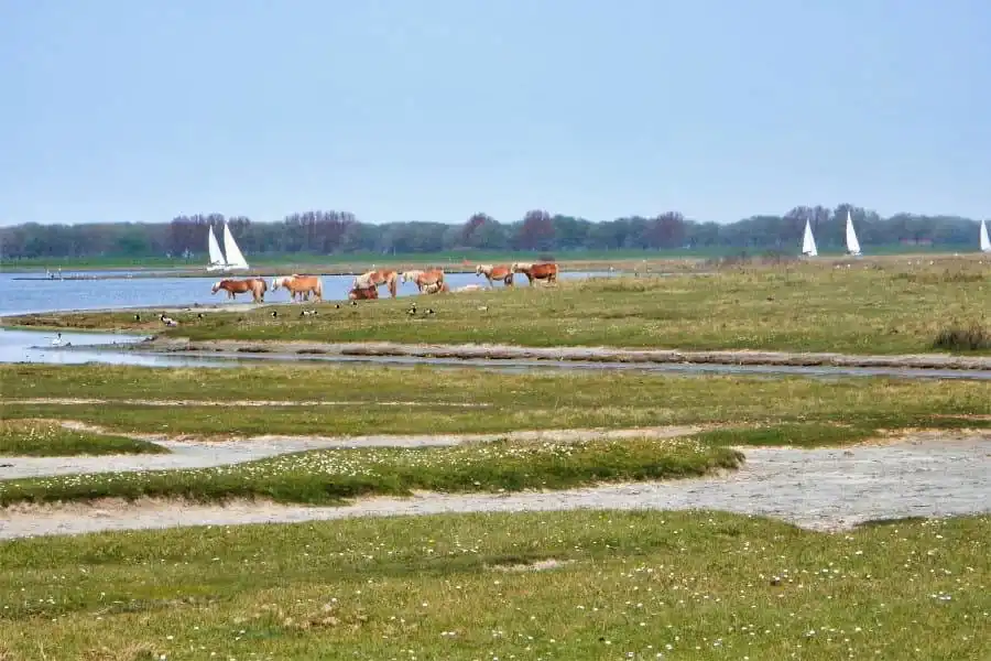 Cycling route around Lake Veere