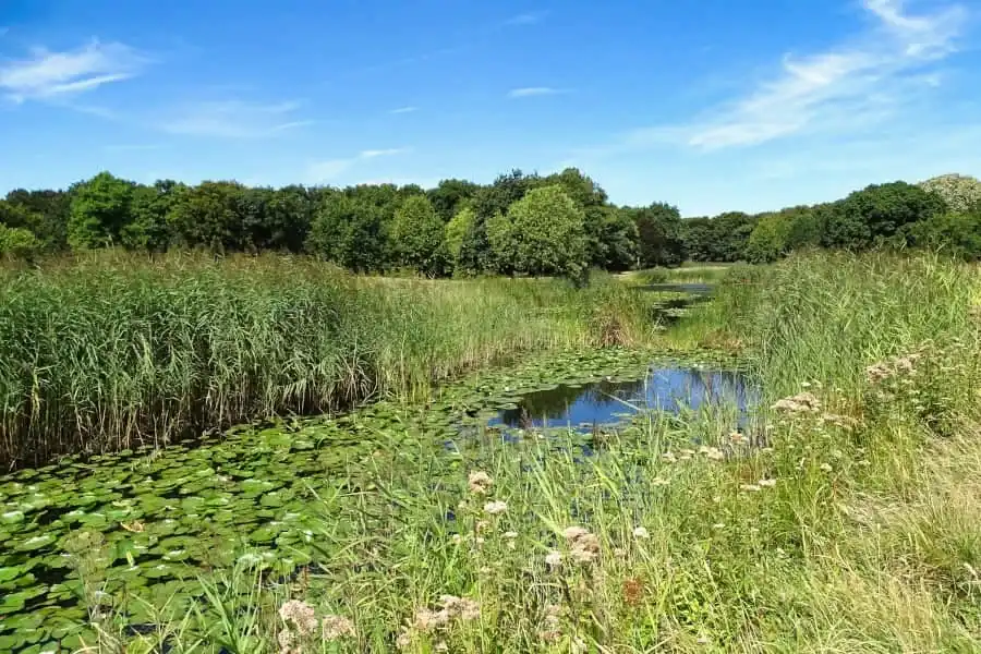 Cycling route through National Landscape Zuidwest-Zeeland and Walcheren