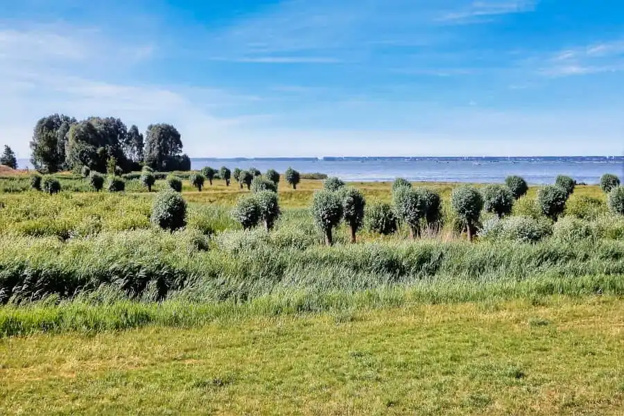 Cycling route through Voorne-Putten and Land of Voorne