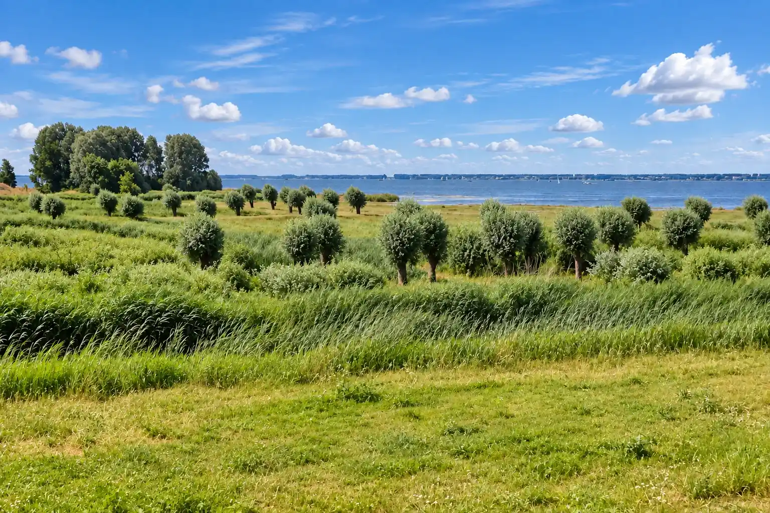 Fietsroute door Voorne-Putten en het Land van Voorne