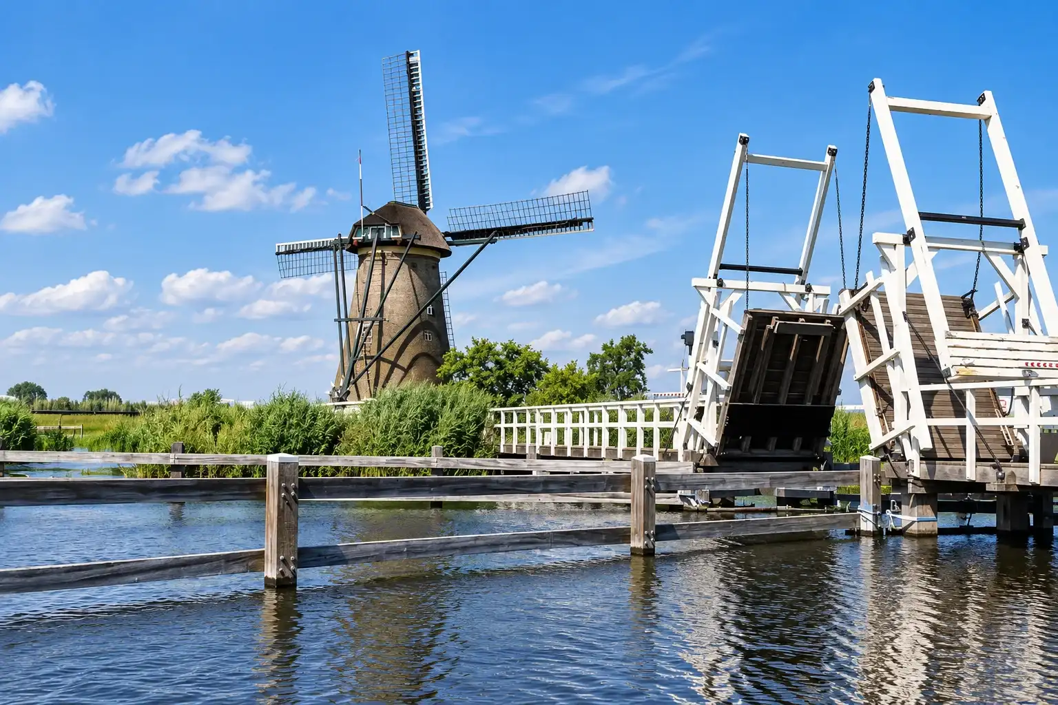 Cycling landscape in South Holland