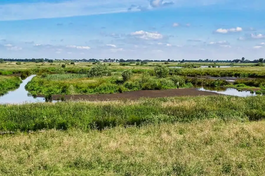 Cycling route through Groene Hart and Nieuwkoopse Plassen