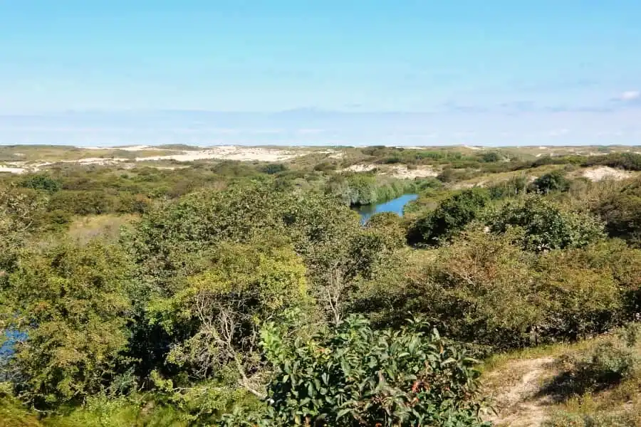 Cycling route through National Park Hollandse Duinen
