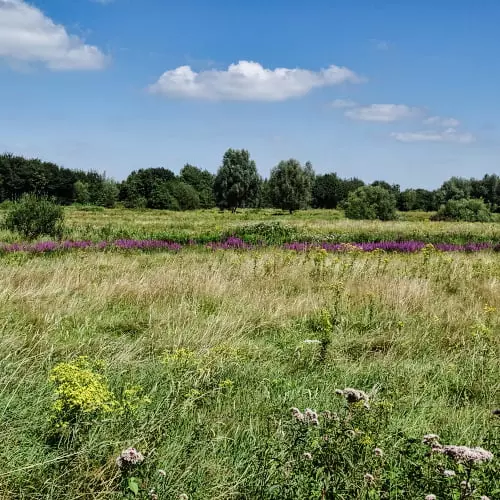 Fietsroute Baronie van Breda