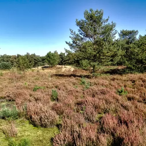 Fietsroute Kempenland-West en Landgoed De Utrecht