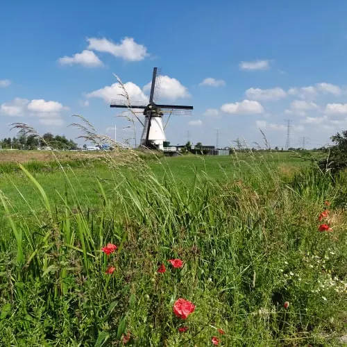 Natuurlijk Fietsen in Nederland met Fietsroutes in beeld