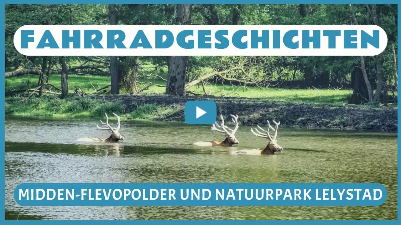 Fahrradgeschichten in Midden-Flevopolder und Natuurpark Lelystad