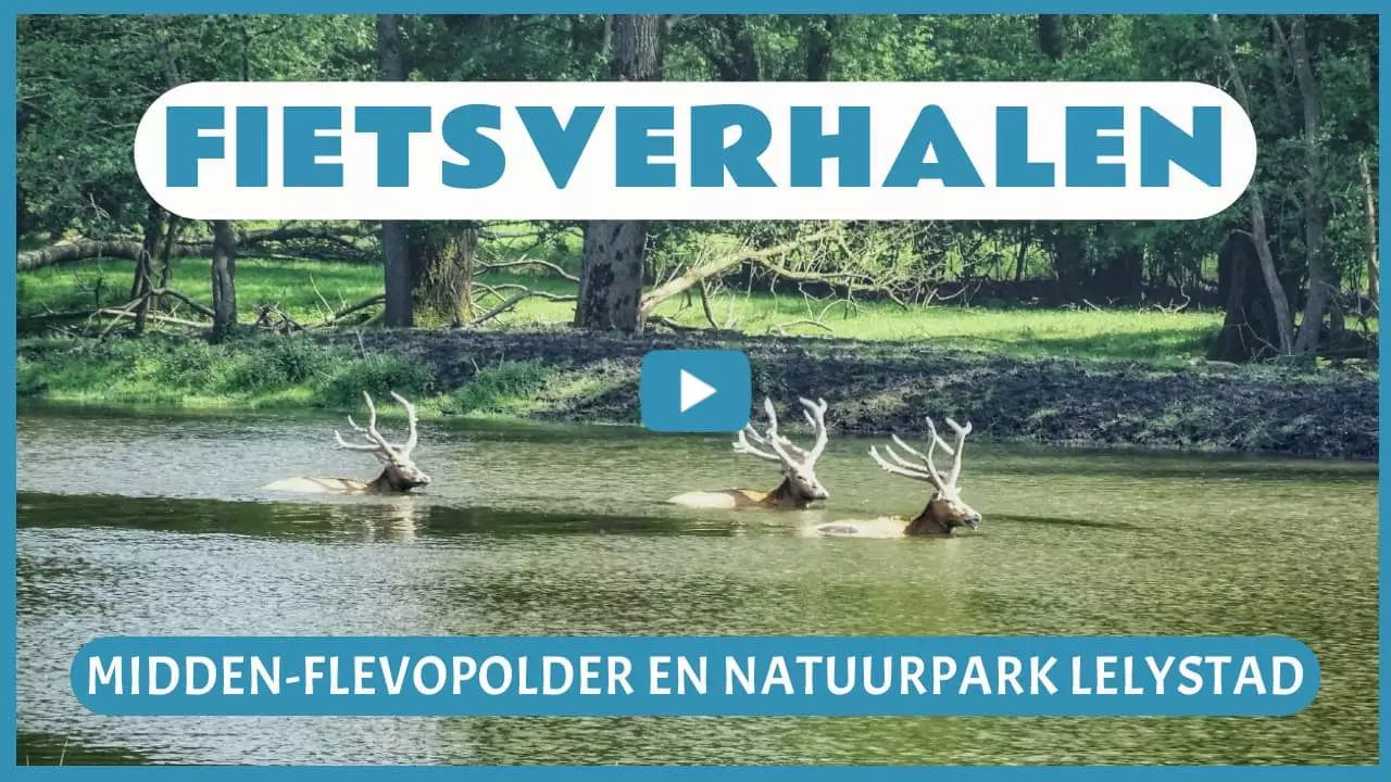 Fietsverhalen in Midden-Flevopolder en Natuurpark Lelystad