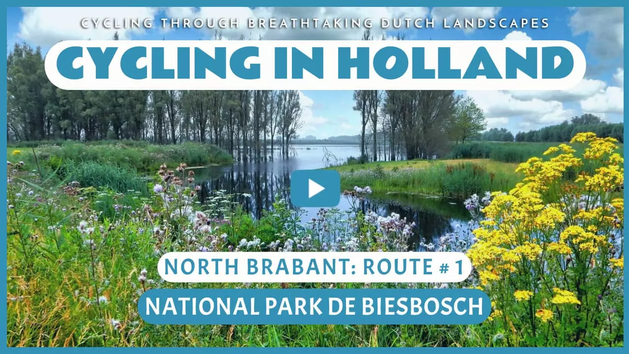 Virtual cycling in National Park De Biesbosch