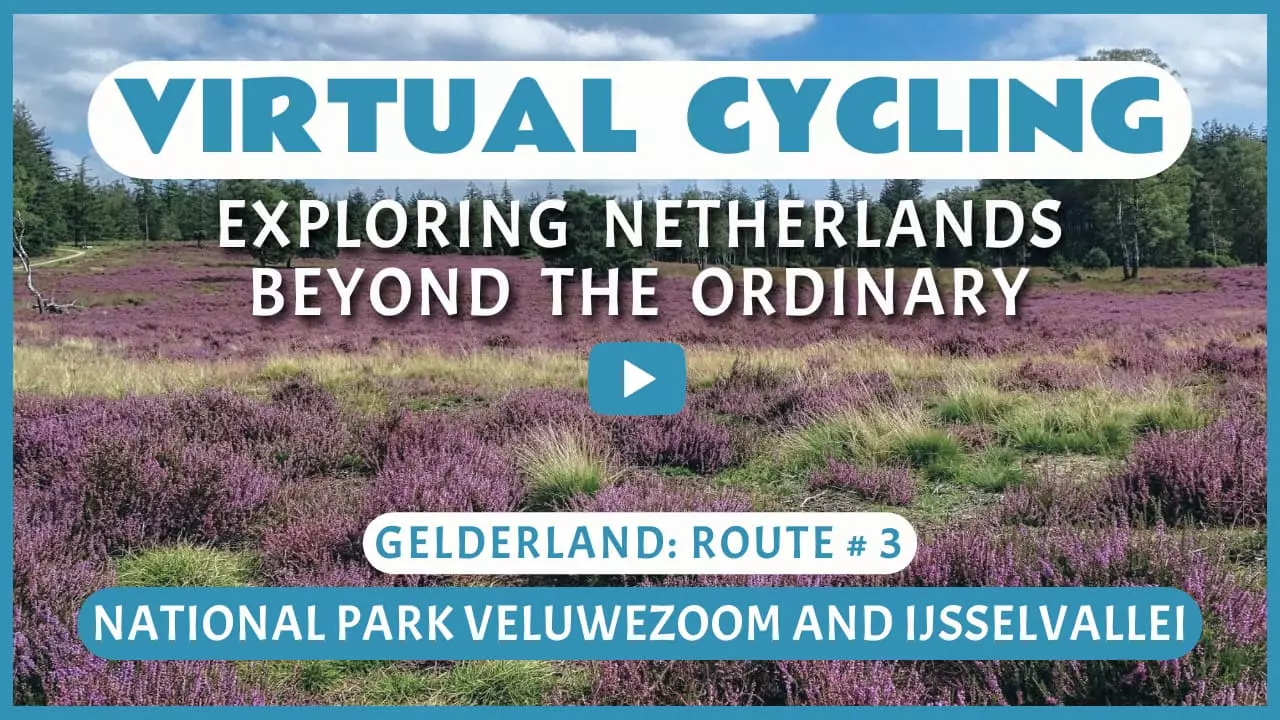 Virtual cycling in National Park Veluwezoom and IJsselvallei