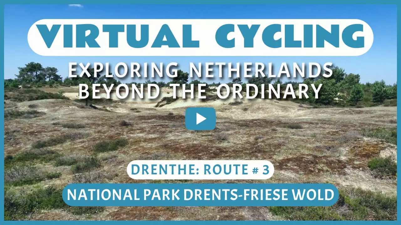 Virtual cycling in National Park Drents-Friese Wold