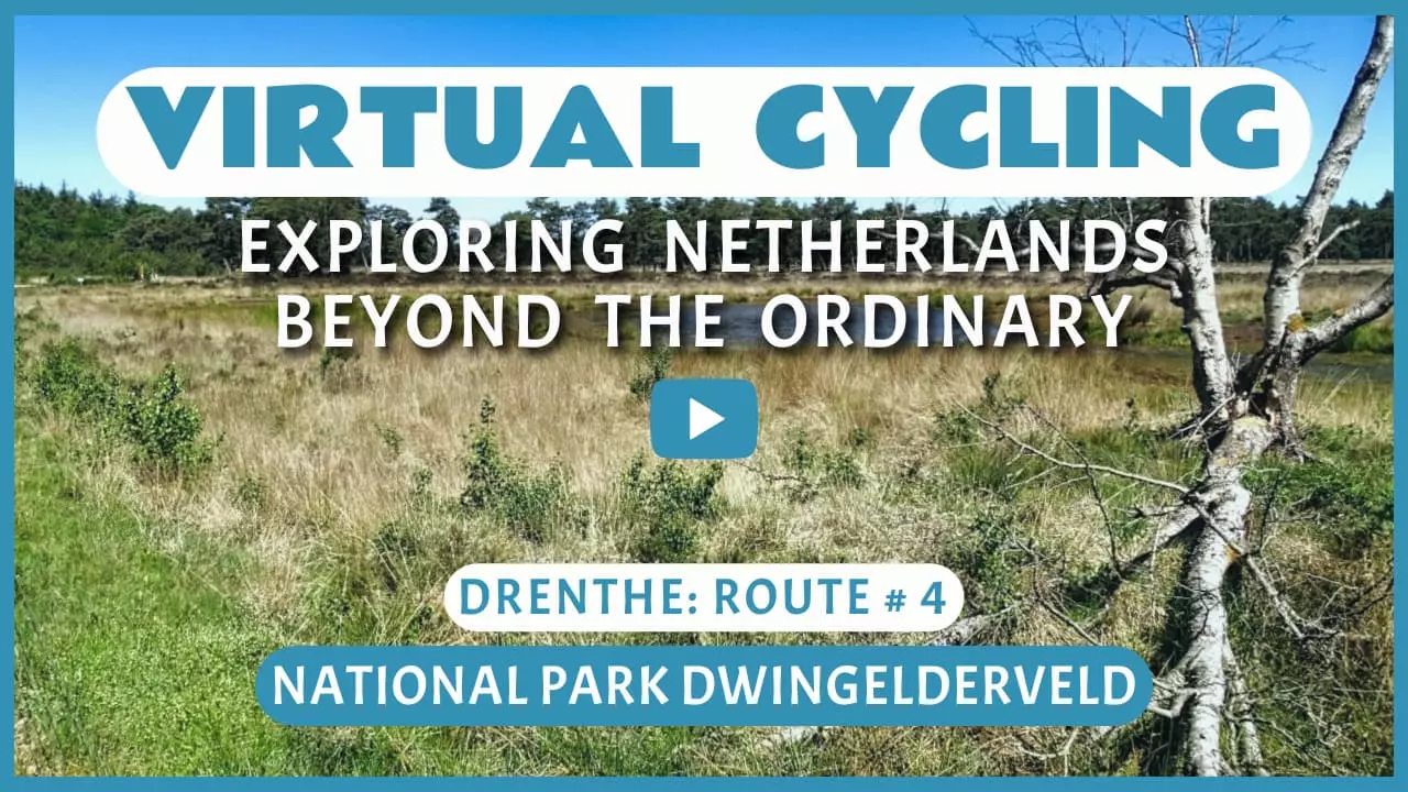 Virtual cycling in National Park Dwingelderveld