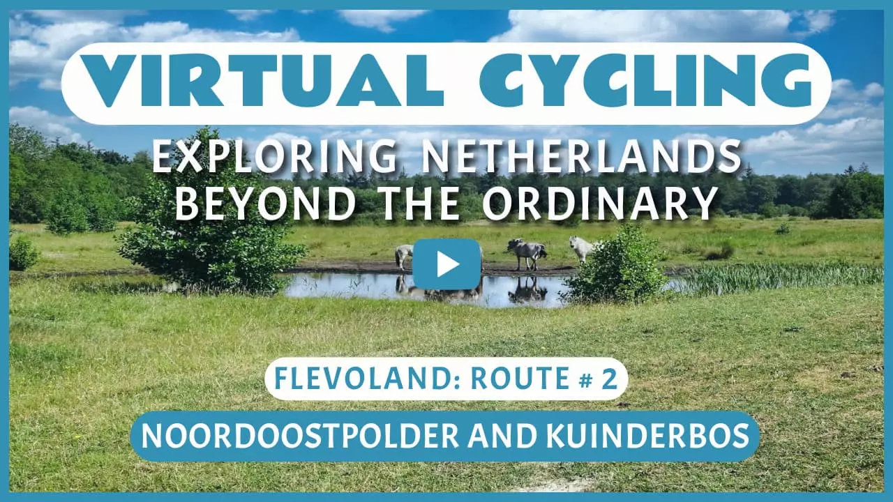 Virtual cycling in Noordoostpolder and Kuinderbos