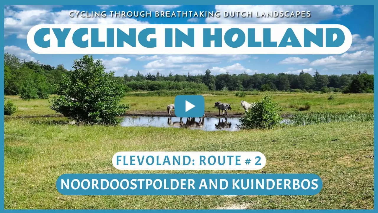 Virtual cycling in the Noordoostpolder and Kuinderbos